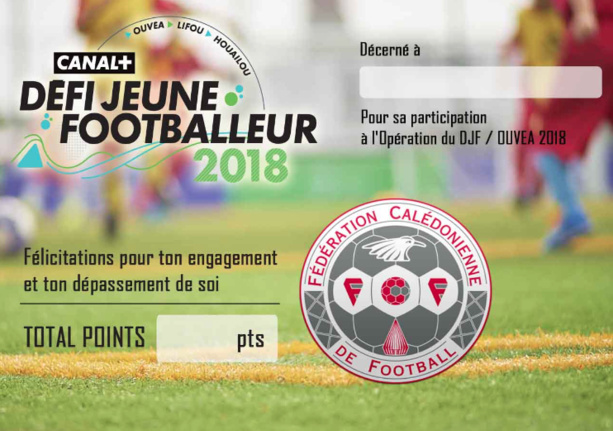 Le Défi du Jeune Footballeur Canal +, ici à Voh en décembre dernier (photo : C+ Calédonie). Le Défi du Jeune Footballeur Canal +, ici à Voh en décembre dernier (photo : C+ Calédonie).