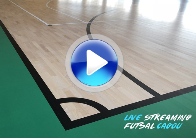 SUPER LIGUE FUTSAL Journée 11 / Chaîne Youtube FCF TV (VIDEO matchs) SUPER LIGUE FUTSAL Journée 11 / Chaîne Youtube FCF TV (VIDEO matchs)