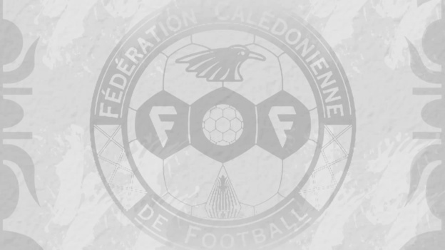 Une reprise progressive, et un coup d'envoi de la saison le 17 avril / FCF Une reprise progressive, et un coup d'envoi de la saison le 17 avril / FCF