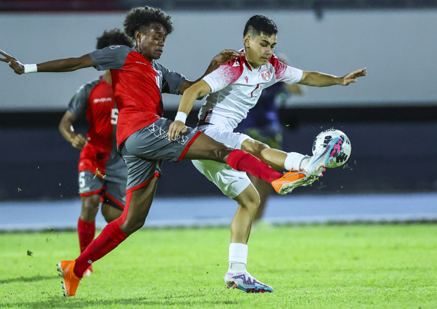 Crédit Photo OFC via PHOTOTEK Crédit Photo OFC via PHOTOTEK