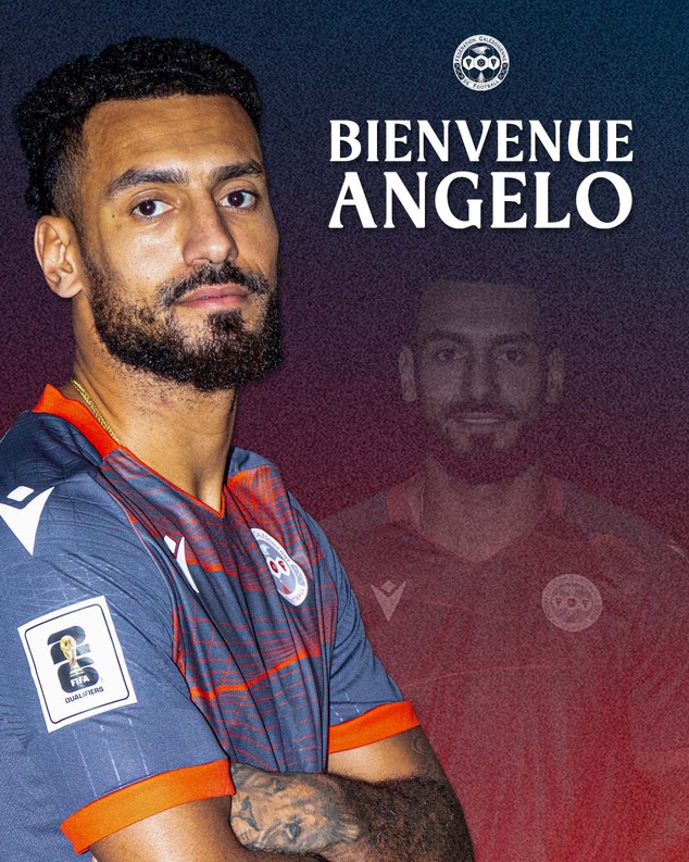 BIENVENUE avec les CAGOUS = ANGELO FULGINI | Sélection A BIENVENUE avec les CAGOUS = ANGELO FULGINI | Sélection A