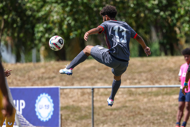Les cagous cartonnent et filent en DEMIES | PNG 0 - 7 NCL Les cagous cartonnent et filent en DEMIES | PNG 0 - 7 NCL