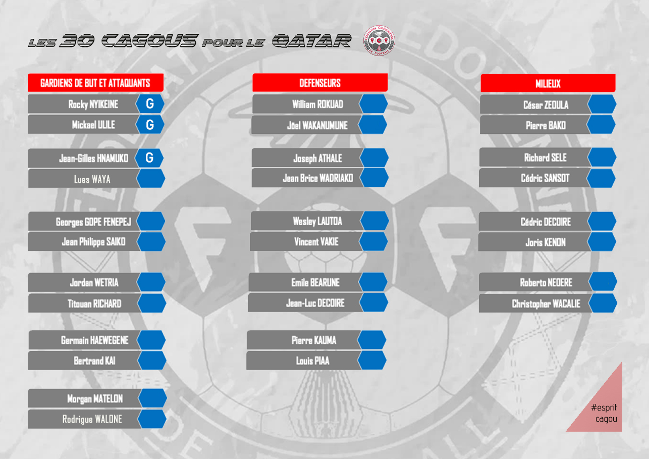OFFICIEL : LA LISTE DES 30 CAGOUS POUR LE QATAR / Sélection A