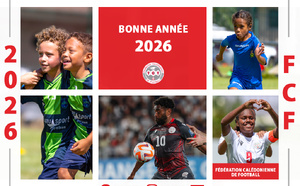 MEILLEURS VOEUX pour cette nouvelle année 2026 !!!